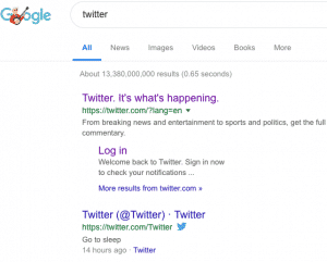 Google search results for Twitter